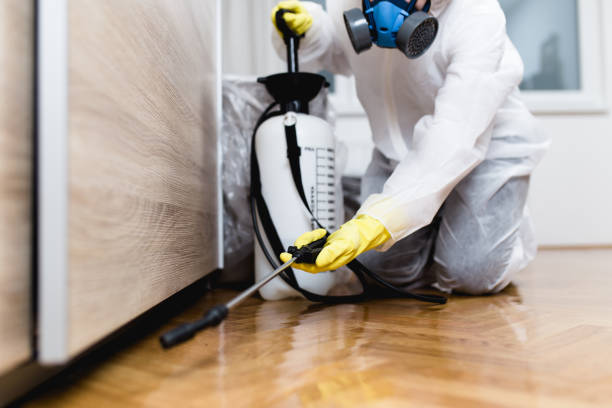 Best Termite Control Services  in Samson, AL