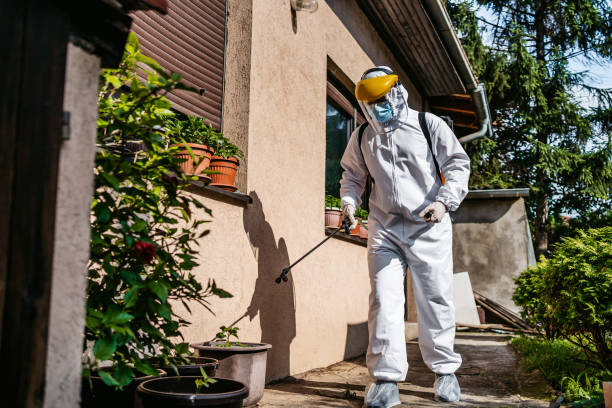 Best Pest Inspection Near Me  in Samson, AL