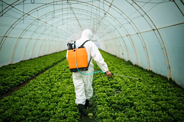 Best Pest Removal Services  in Samson, AL