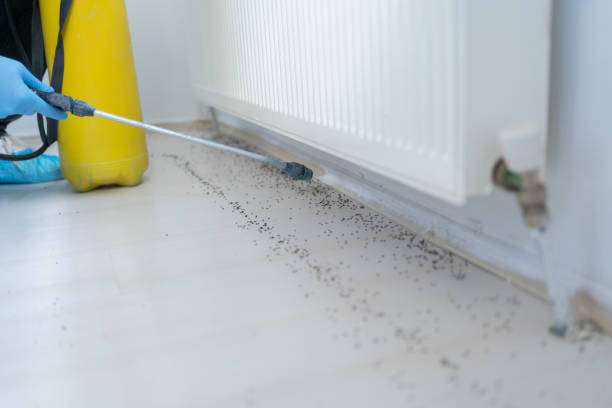 Best Residential Pest Control  in Samson, AL